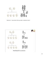 Konspekts 'Molekulārā bioloģija un ģenētika', 10.