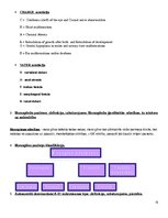 Konspekts 'Molekulārā bioloģija un ģenētika', 15.