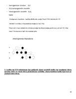 Konspekts 'Molekulārā bioloģija un ģenētika', 33.