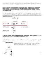 Konspekts 'Molekulārā bioloģija un ģenētika', 37.