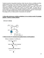 Konspekts 'Molekulārā bioloģija un ģenētika', 39.