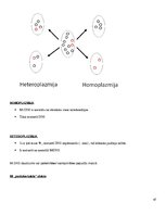Konspekts 'Molekulārā bioloģija un ģenētika', 47.