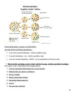 Konspekts 'Molekulārā bioloģija un ģenētika', 48.