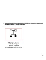 Konspekts 'Molekulārā bioloģija un ģenētika', 50.