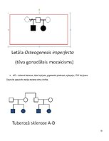 Konspekts 'Molekulārā bioloģija un ģenētika', 51.