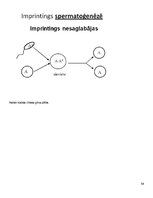Konspekts 'Molekulārā bioloģija un ģenētika', 54.