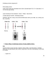 Konspekts 'Molekulārā bioloģija un ģenētika', 56.