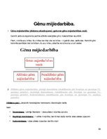 Konspekts 'Molekulārā bioloģija un ģenētika', 68.