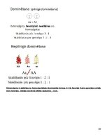 Konspekts 'Molekulārā bioloģija un ģenētika', 69.