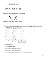 Konspekts 'Molekulārā bioloģija un ģenētika', 72.