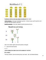 Konspekts 'Molekulārā bioloģija un ģenētika', 79.