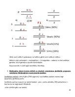 Konspekts 'Molekulārā bioloģija un ģenētika', 89.