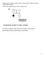 Konspekts 'Molekulārā bioloģija un ģenētika', 91.