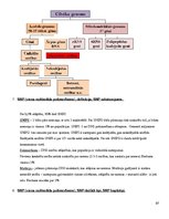 Konspekts 'Molekulārā bioloģija un ģenētika', 97.