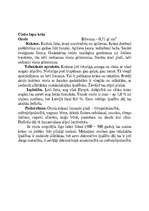 Referāts 'Koka galdu izgatavošanas iespējas', 7.