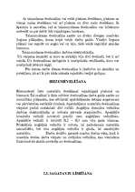 Referāts 'Koka galdu izgatavošanas iespējas', 18.