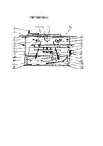 Referāts 'Koka galdu izgatavošanas iespējas', 25.
