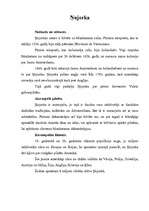 Konspekts 'Ņujorka', 1.