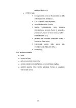 Referāts 'Alerģiskās ādas slimības', 13.