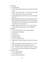 Referāts 'Alerģiskās ādas slimības', 16.