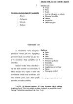 Referāts 'No vardarbības cietušo bērnu tiesiskā aizsardzība', 7.