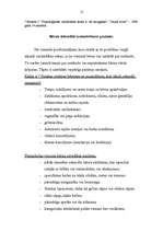 Referāts 'No vardarbības cietušo bērnu tiesiskā aizsardzība', 12.