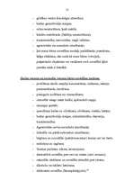 Referāts 'No vardarbības cietušo bērnu tiesiskā aizsardzība', 13.