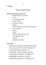 Referāts 'No vardarbības cietušo bērnu tiesiskā aizsardzība', 21.