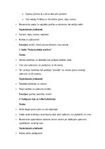 Konspekts 'Kāzu scenārijs: svētku prieks, mīlestība un neaizmirstami mirkļi', 19.