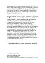 Eseja 'Kruīzu kuģi', 2.