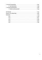 Referāts 'Piramīdas pasaulē', 3.