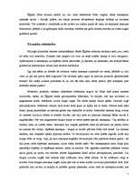 Referāts 'Piramīdas pasaulē', 7.