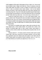 Referāts 'Piramīdas pasaulē', 8.