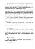 Referāts 'Piramīdas pasaulē', 9.