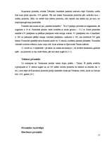 Referāts 'Piramīdas pasaulē', 13.