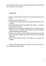 Referāts 'Piramīdas pasaulē', 23.