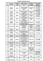 Referāts 'Piramīdas pasaulē', 29.