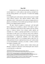 Konspekts 'Uzņēmuma darījumu ar saistītām personām pārbaude', 2.