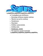 Referāts 'Delfīni', 2.