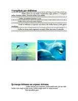 Referāts 'Delfīni', 3.