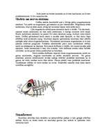 Referāts 'Delfīni', 4.