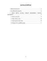 Referāts 'Džona Beitsa Klārka devums ekonomikas teorijas veidošanā', 2.