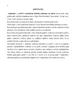 Biznesa plāns 'Kursa darbs ekonomikā', 2.