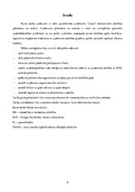 Biznesa plāns 'Kursa darbs ekonomikā', 6.