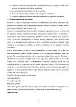 Biznesa plāns 'Kursa darbs ekonomikā', 8.