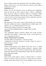 Biznesa plāns 'Kursa darbs ekonomikā', 9.