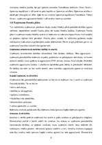 Biznesa plāns 'Kursa darbs ekonomikā', 13.