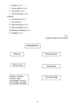 Biznesa plāns 'Kursa darbs ekonomikā', 19.