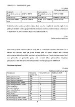 Biznesa plāns 'Kursa darbs ekonomikā', 21.