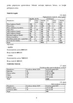 Biznesa plāns 'Kursa darbs ekonomikā', 23.